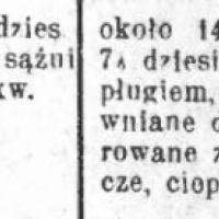 Subhastacja, 1906