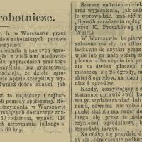 Ogródki robotnicze, 1907 Ogródki robotnicze, 1907