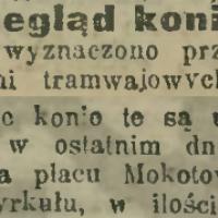 Przegląd koni tramwajowych, 1913