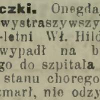Upadek z bryczki, 1913