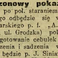 Sezonowy pokaz, 1913