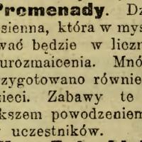 Wielka zabawa jesienna, 1913