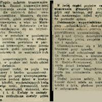 Popis w ochronie tramwajarzy. Występy dzieci. 1914