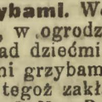 Otrucie grzybami, 1916