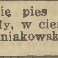 Przybłąkał się wyżeł, 1919