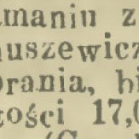 Bohuszewicz okradziony, 1920