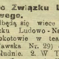 Wiec Związku Ludowo-Narodowego, 1920