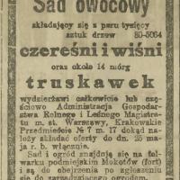Czereśnie, truskawki, 1923