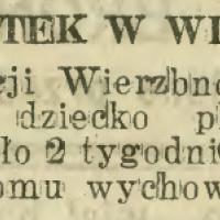 Podrzutek w Wierzbnie, 1925