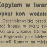 Kopytem w twarz, 1925