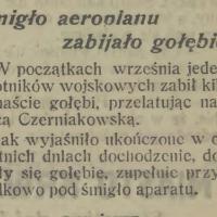 Zabite gołębie, 1925