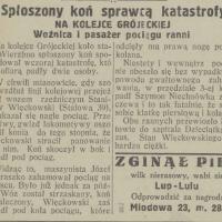 Koń sprawcą, 1926