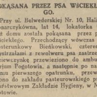 Pokąsana przez psa, 1927