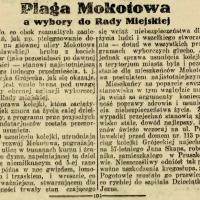 Plaga a wybory, 1927
