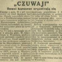 Zjazd dawnych harcerzy w parku na Wierzbnie. 1927.