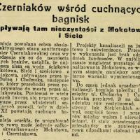 Wśród bagnisk. 1927.