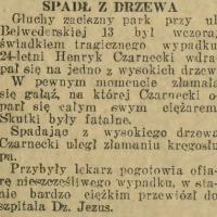 Wypadek w parku Promenada. Henryk Czarnecki spadł z drzewa. 1929.