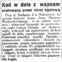 Koń uratowany, 1930