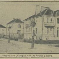 Perspektywa will, 1930