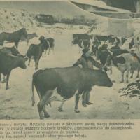 Stacja doświadczalna, 1931