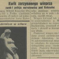 Krzyk wieprza, 1931