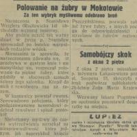 Polowanie na żubry, 1931