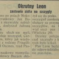 Sidła na szczygły, 1931