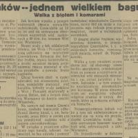 Czerniaków bagniskiem, 1931