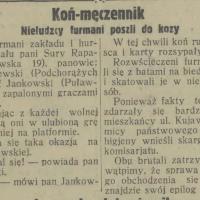 Nieludzccy furmani Nieludzccy furmani, 1931