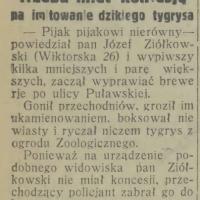 Trzeba mieć koncesję, 1931
