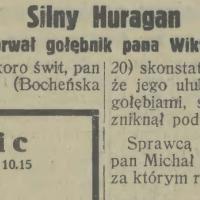 Porwany gołębnik, 1931