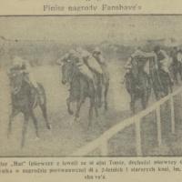 Nagroda Fanshave'a, 1933