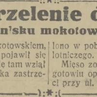 Zastrzelenie dzika, 1933