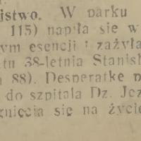 Samobójstwo w parku, 1933