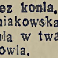 Kopnięty przez konia, 1934