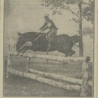 Konkurs myśliwski, 1934