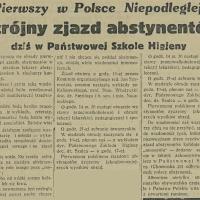 Potrójny zjazd abstynentów
