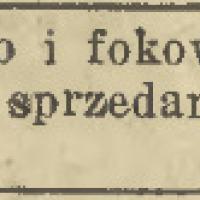 Kretowe palto i fokowe figaro, 1935
