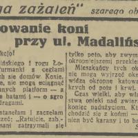 Torturowanie koni, 1935