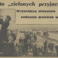 Wiosenne sadzenie drzewek, 1936