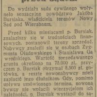 Spór o Nowy Sad, 1936