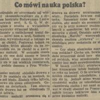 Niemieckie gąsienice, 1936