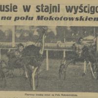 Strusie w stajni, 1936