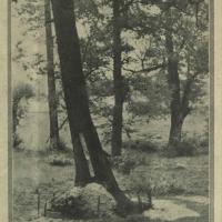 Mieszkanie w dębie. 1936