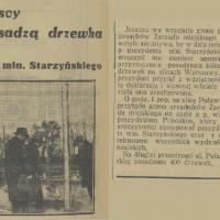 Pracownicy sadzą drzewka. Puławska. 1936