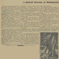Wyeksmitowany z dziupli Wyeksmitowany z dziupli, 1937