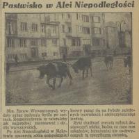 Pastwisko w Alei Pastwisko w Alei, 1937