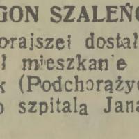 Zgon szaleńca
