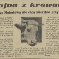 Wojna z krowami, 1938