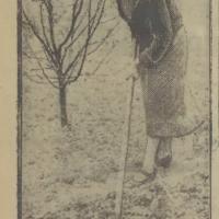 We własnym zagonie, 1938